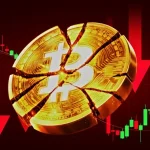 XRP Leader Says Whale Manipulation Won’t Decide Crypto’s Long-Term Future